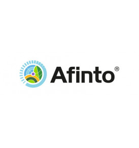 Afinto