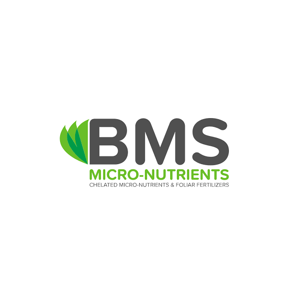 BMS